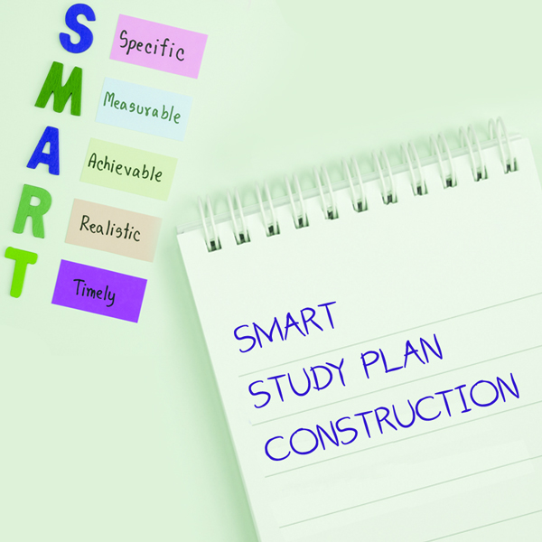 How to Make a SMART study plan for the FMGE? – DMA Edu